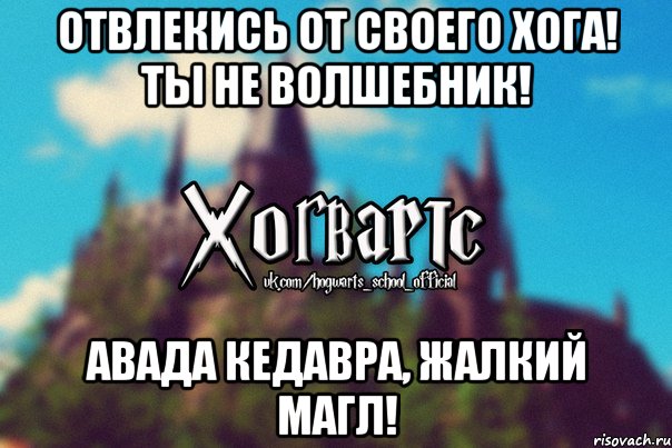 Отвлекись от своего хога! ты не волшебник! АВАДА КЕДАВРА, жалкий магл!, Мем Хогвартс