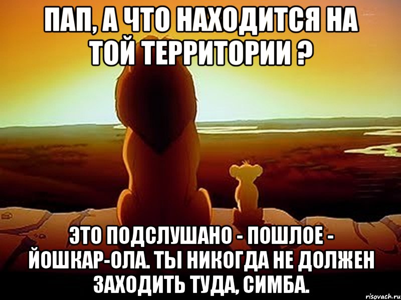 Пап, а что находится на той территории ? Это Подслушано - Пошлое - Йошкар-ола. Ты никогда не должен заходить туда, Симба., Мем  король лев