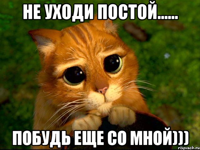 не уходи постой...... Побудь еще со мной))), Мем кот из шрека