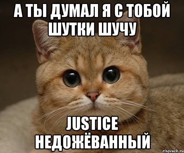 А ТЫ ДУМАЛ Я С ТОБОЙ ШУТКИ ШУЧУ JUSTICE НЕДОЖЁВАННЫЙ, Мем Пидрила Ебаная