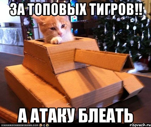 За топовых тигров!! А атаку блеать, Мем Котэ танкист