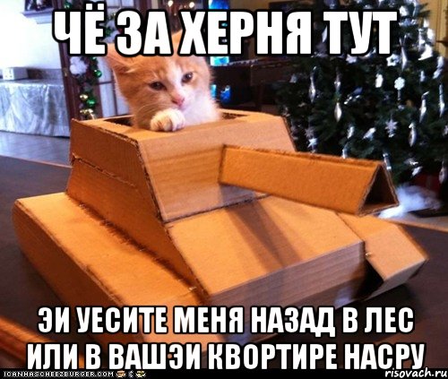 чё за херня тут эи уесите меня назад в лес или в вашэи квортире насру, Мем Котэ танкист