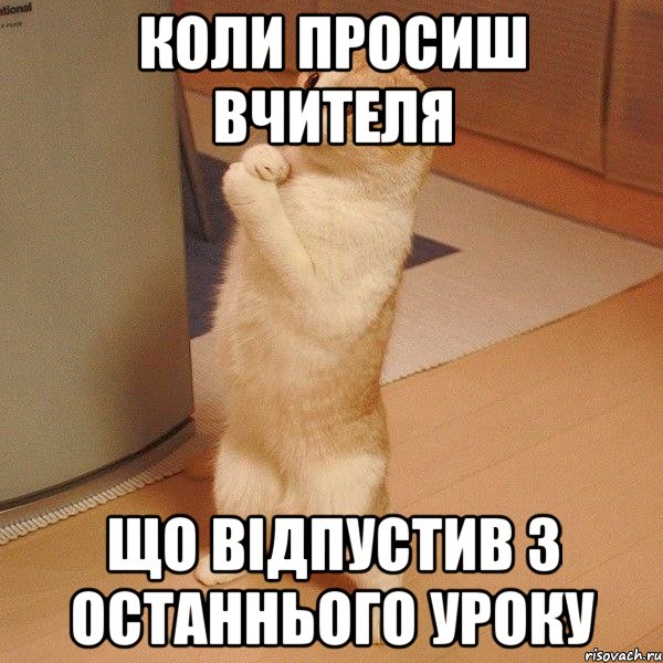 коли просиш вчителя що відпустив з останнього уроку, Мем  котэ молится