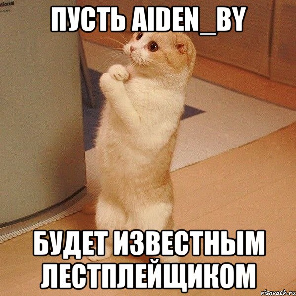 Пусть AIDEN_BY Будет известным лестплейщиком, Мем  котэ молится