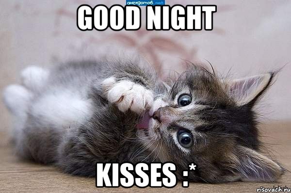 Good night kisses :*, Мем  котенок