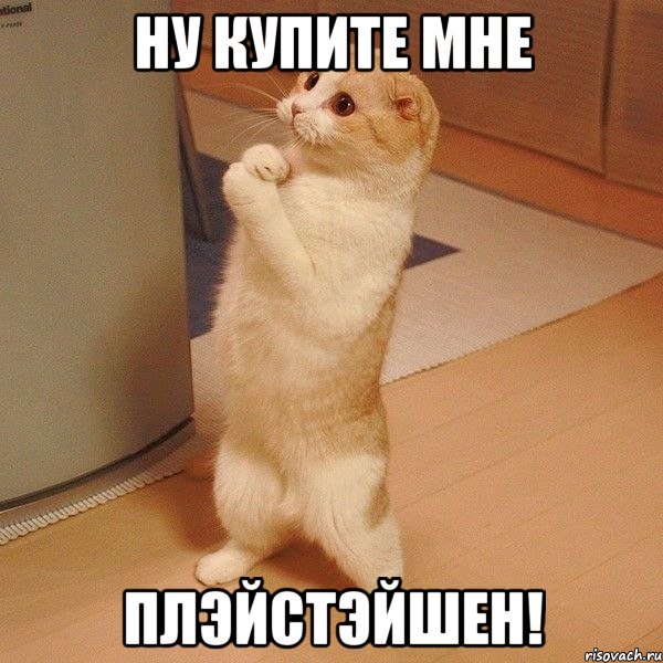 Ну купите мне Плэйстэйшен!, Мем  котэ молится