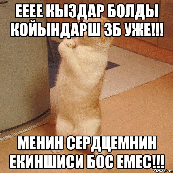 Ееее. Еёеё. Ееее картинка. Мем котэ молится.