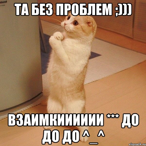 та без проблем ;))) взаимкииииии *** до до до ^_^, Мем  котэ молится