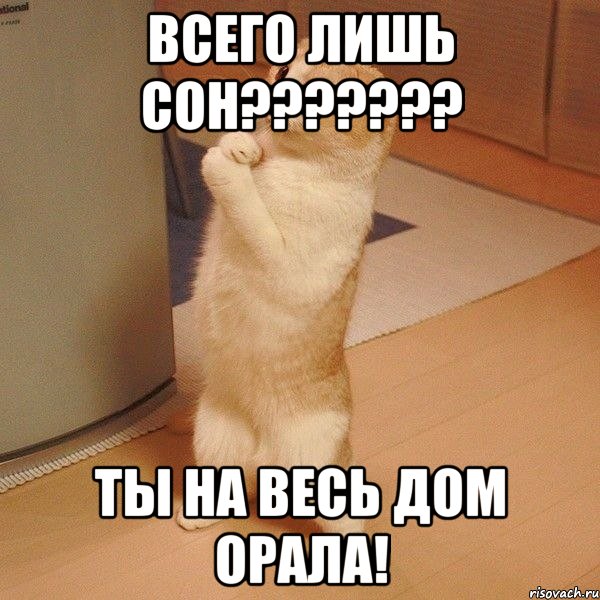 ВСЕГО ЛИШЬ СОН??????? ТЫ НА ВЕСЬ ДОМ ОРАЛА!, Мем  котэ молится