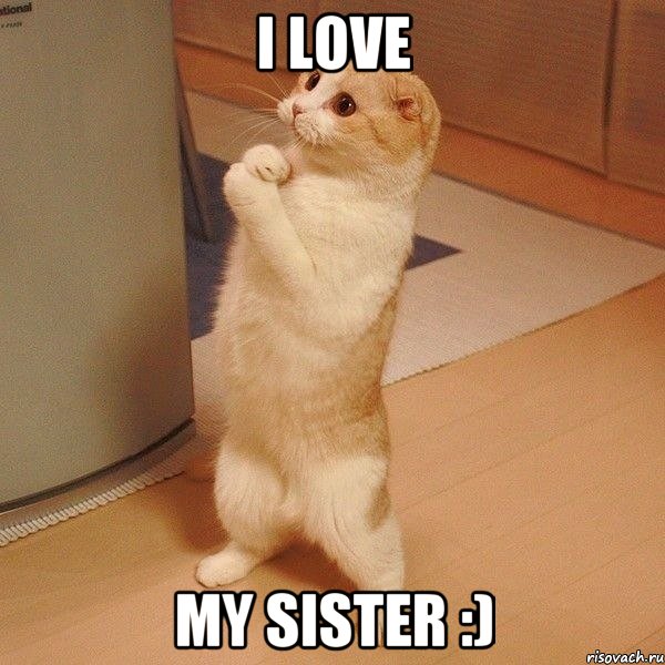 I LOVE MY SISTER :), Мем  котэ молится