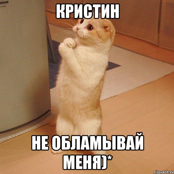 Кристин Не обламывай меня)*, Мем  котэ молится