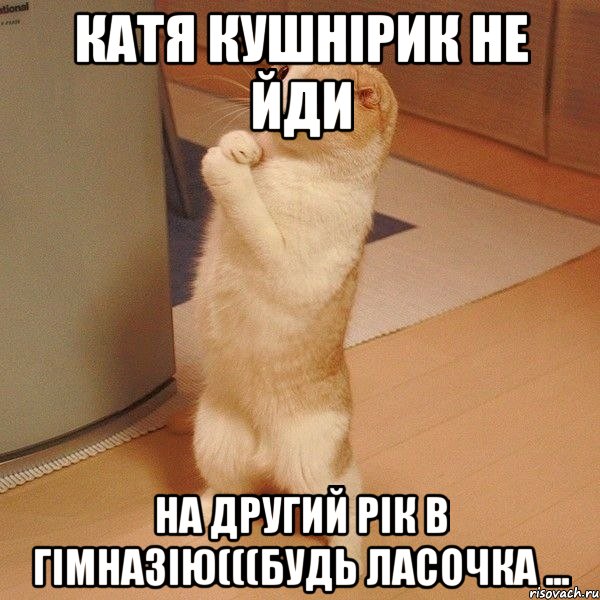 Прошу Пойдём:D, Мем  котэ молится