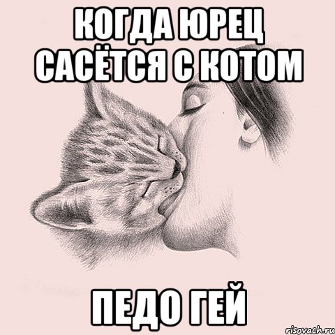 Когда Юрец сасётся с котом педо гей, Мем котосекс