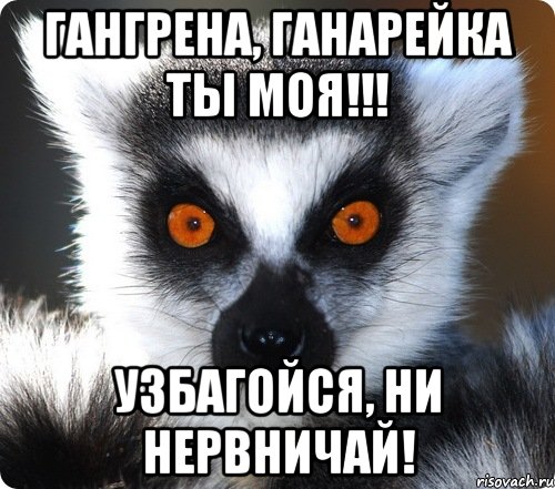 Не нервничай. Валера узбагойся. Узбагойся ганарейка. Не нервничай картинки. Открытка успокойся не нервничай.