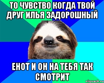 То чувство когда твой друг Илья Задорошный Енот и он на тебя так смотрит, Мем Ленивец