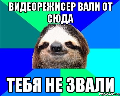 видеорежисер вали от сюда тебя не звали, Мем Ленивец