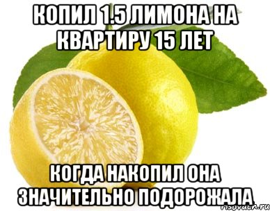 Я копил на новый велосипед. Лимон Мем. Мемы про лимон. Шутки про лимон. Лимончик Мем.