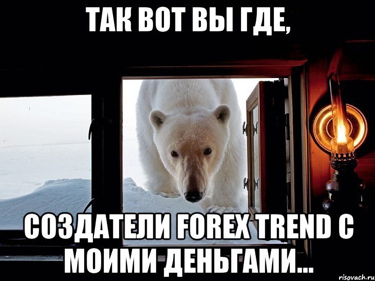 Так вот вы где, создатели Forex Trend с моими деньгами..., Мем Медвед