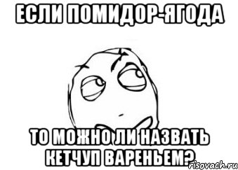 Если помидор-ягода То можно ли назвать кетчуп вареньем?, Мем Мне кажется или