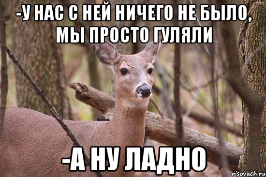 Можно просто гулять