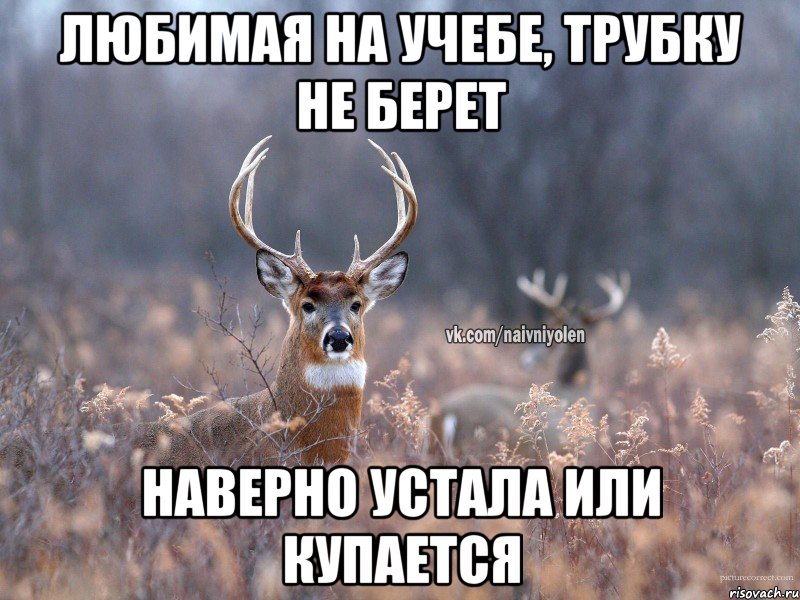 Год наверно