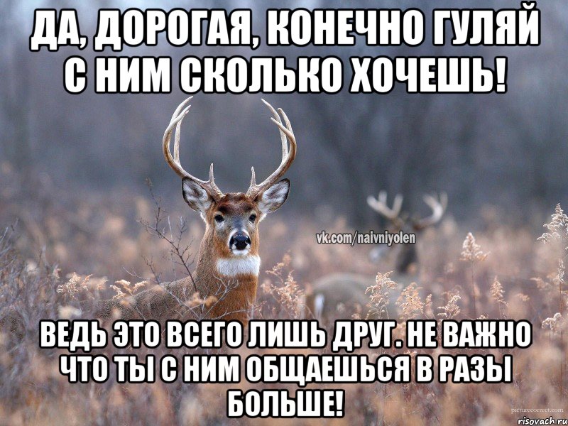 Да, дорогая, конечно гуляй с ним сколько хочешь! Ведь это всего лишь друг. Не важно что ты с ним общаешься в разы больше!, Мем   Наивный олень