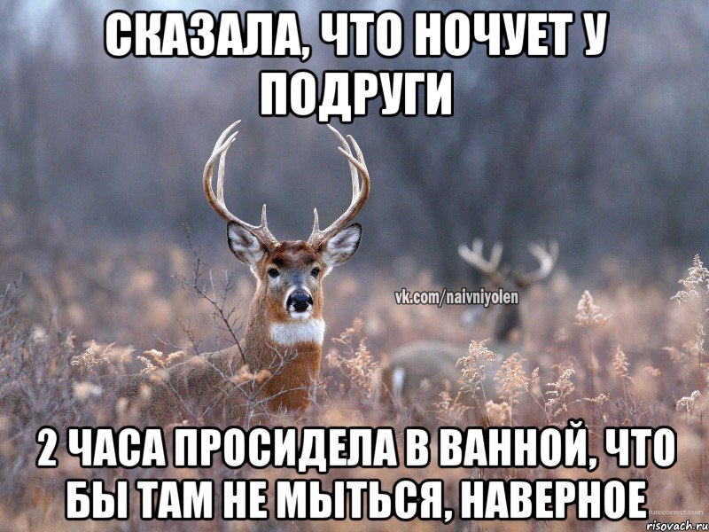 Сказала, что ночует у подруги 2 часа просидела в ванной, что бы там не мыться, наверное, Мем   Наивный олень