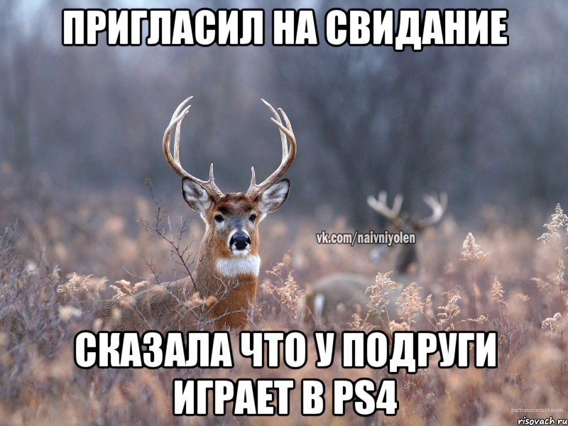 Пригласил на свидание сказала что у подруги играет в PS4, Мем   Наивный олень