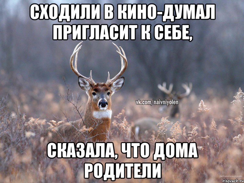 Сходили в кино-думал пригласит к себе, Сказала, что дома родители, Мем   Наивный олень