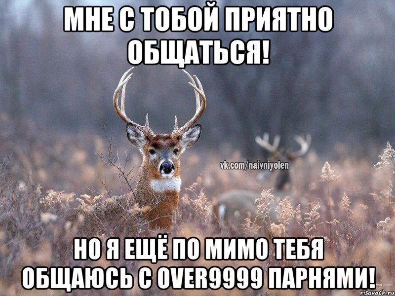 Мне с тобой приятно общаться! Но я ещё по мимо тебя общаюсь с over9999 парнями!, Мем   Наивный олень