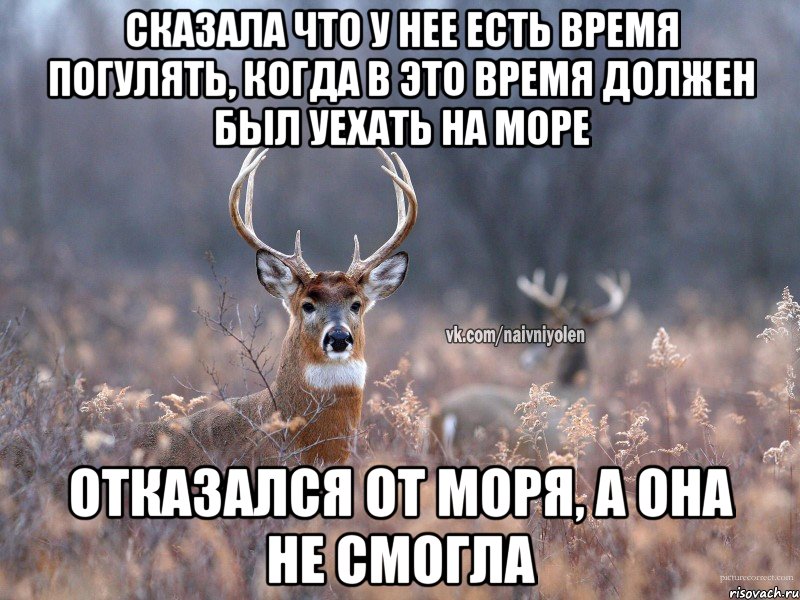 Сказала что у нее есть время погулять, когда в это время должен был уехать на море Отказался от моря, а она не смогла, Мем   Наивный олень