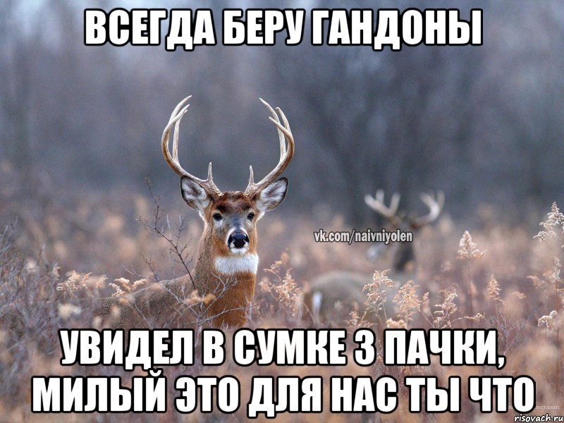 Всегда беру гандоны увидел в сумке 3 пачки, милый это для нас ты что, Мем   Наивный олень