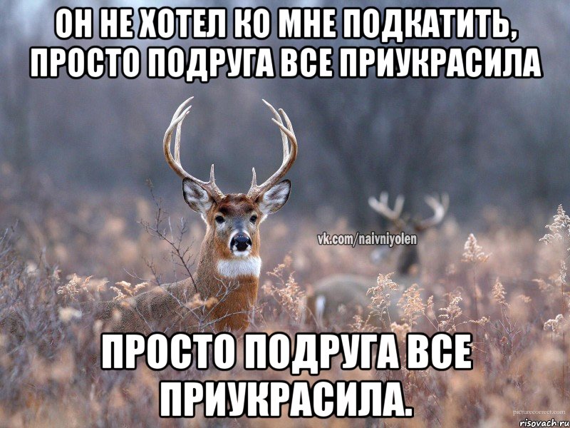 Он не хотел ко мне подкатить, просто подруга все приукрасила Просто подруга все приукрасила., Мем   Наивный олень