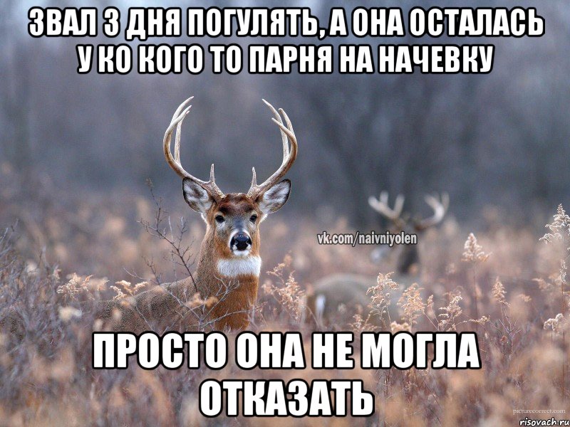 звал 3 дня погулять, а она осталась у ко кого то парня на начевку просто она не могла отказать, Мем   Наивный олень