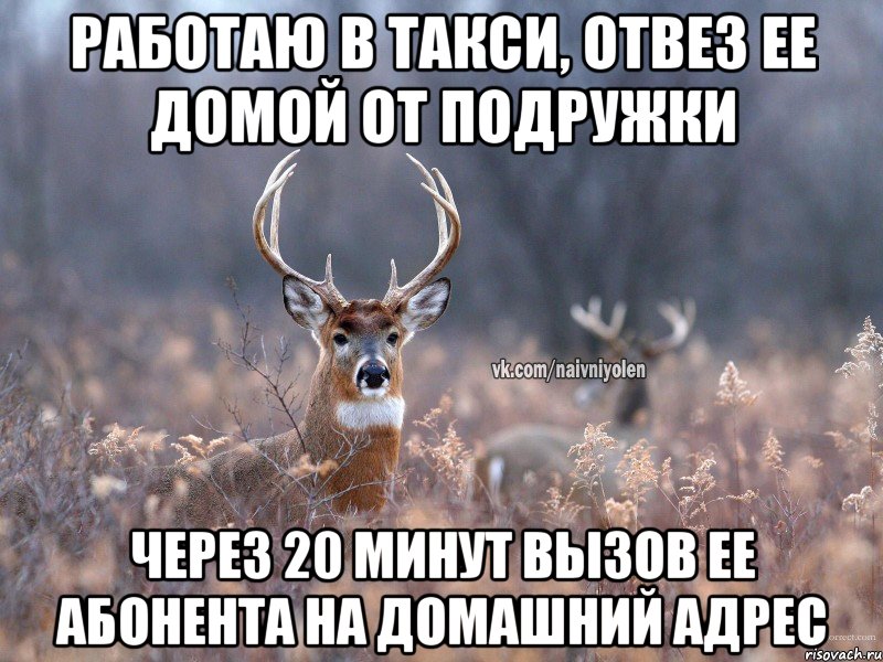 Работаю в такси, отвез ее домой от подружки Через 20 минут вызов ее абонента на домашний адрес, Мем   Наивный олень