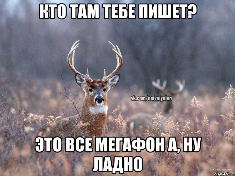 Кто там тебе пишет? это все мегафон А, ну ладно, Мем   Наивный олень