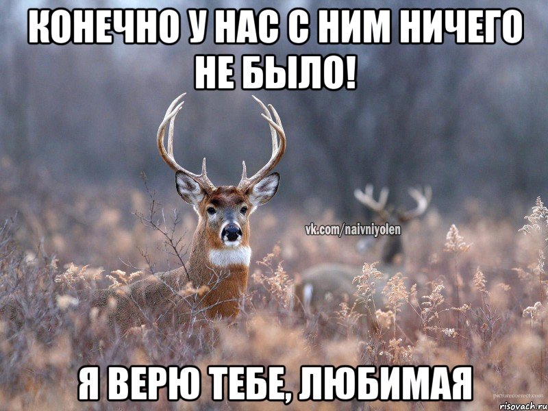 Конечно у нас с ним ничего не было! Я верю тебе, любимая, Мем   Наивный олень