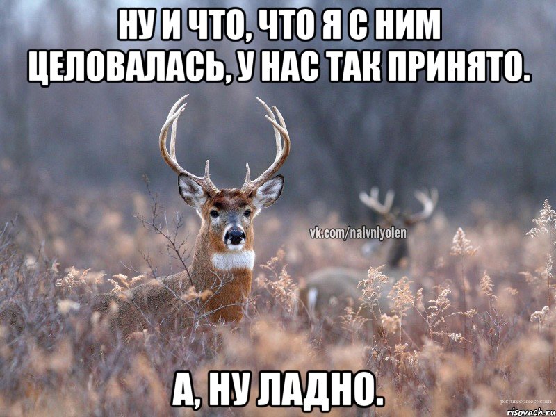 Ну и что, что я с ним целовалась, у нас так принято. А, ну ладно., Мем   Наивный олень