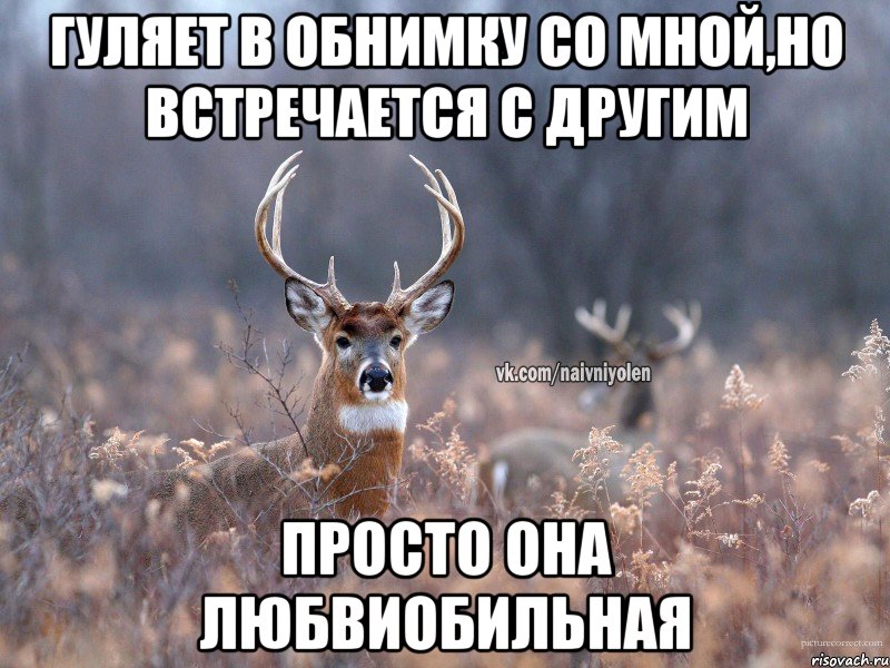 ГУЛЯЕТ В ОБНИМКУ СО МНОЙ,НО ВСТРЕЧАЕТСЯ С ДРУГИМ ПРОСТО ОНА ЛЮБВИОБИЛЬНАЯ, Мем   Наивный олень