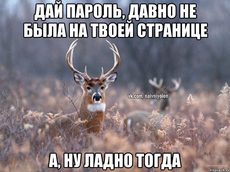 дай пароль, давно не была на твоей странице а, ну ладно тогда, Мем   Наивный олень