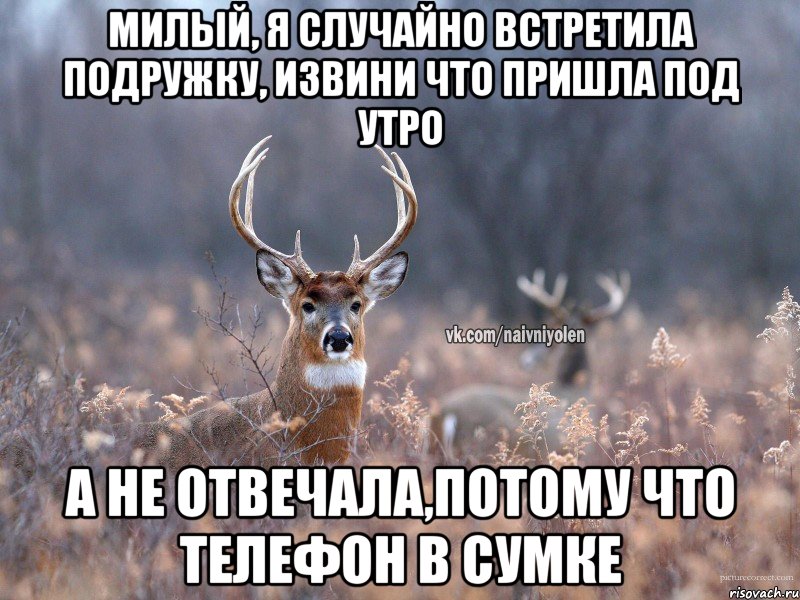 МИЛЫЙ, Я СЛУЧАЙНО ВСТРЕТИЛА ПОДРУЖКУ, ИЗВИНИ ЧТО ПРИШЛА ПОД УТРО А НЕ ОТВЕЧАЛА,ПОТОМУ ЧТО ТЕЛЕФОН В СУМКЕ, Мем   Наивный олень