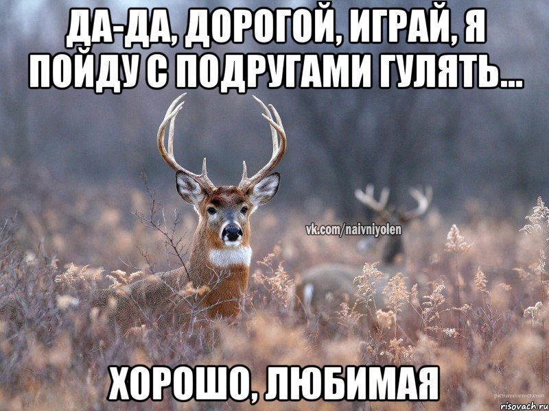 Да-да, дорогой, играй, я пойду с подругами гулять... Хорошо, любимая, Мем   Наивный олень