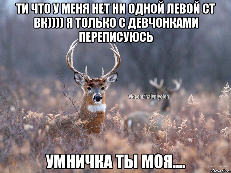 ти что у меня нет ни одной левой ст вк)))) я только с девчонками переписуюсь умничка ты моя...., Мем   Наивный олень