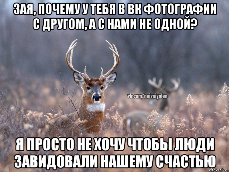 зая, почему у тебя в вк фотографии с другом, а с нами не одной? я просто не хочу чтобы люди завидовали нашему счастью, Мем   Наивный олень