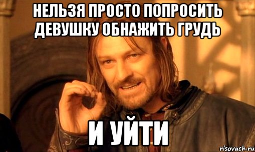 Нельзя просто попросить девушку обнажить грудь И уйти, Мем Нельзя просто так взять и (Боромир мем)