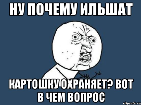 ну почему ильшат картошку охраняет? Вот в чем вопрос, Мем Ну почему