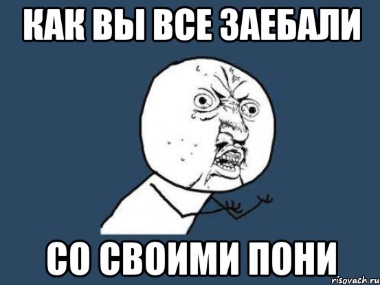 КАК ВЫ ВСЕ ЗАЕБАЛИ СО СВОИМИ ПОНИ, Мем Ну почему