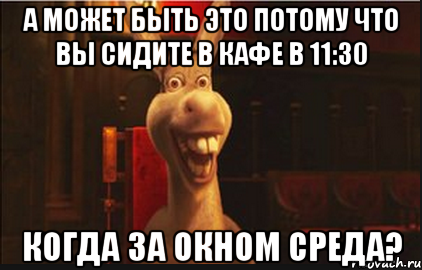 А может быть это потому что вы сидите в кафе в 11:30 когда за окном среда?, Мем Осел из Шрека