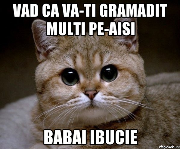 VAD CA VA-TI GRAMADIT MULTI PE-AISI BABAI IBUCIE, Мем Пидрила Ебаная