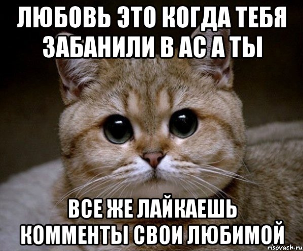 Любовь это когда тебя забанили в АС а ты все же лайкаешь комменты свои любимой, Мем Пидрила Ебаная